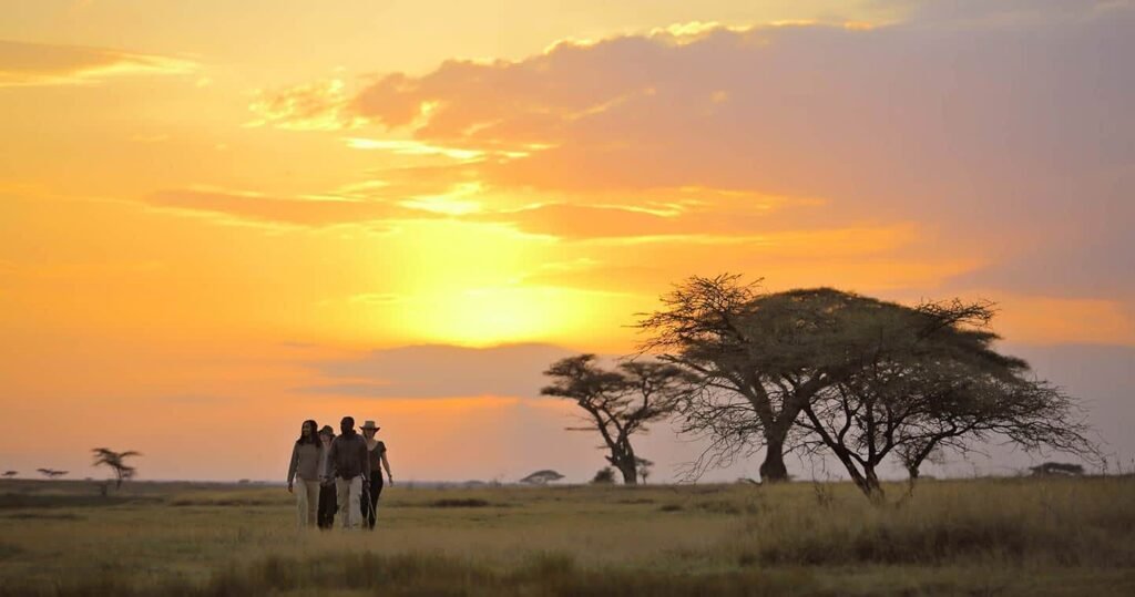 Safari Adventure in Serengeti National Park